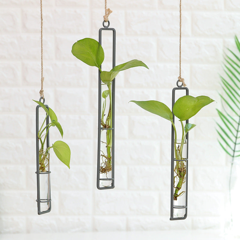 living room wall green plant container hanging wall decoration
