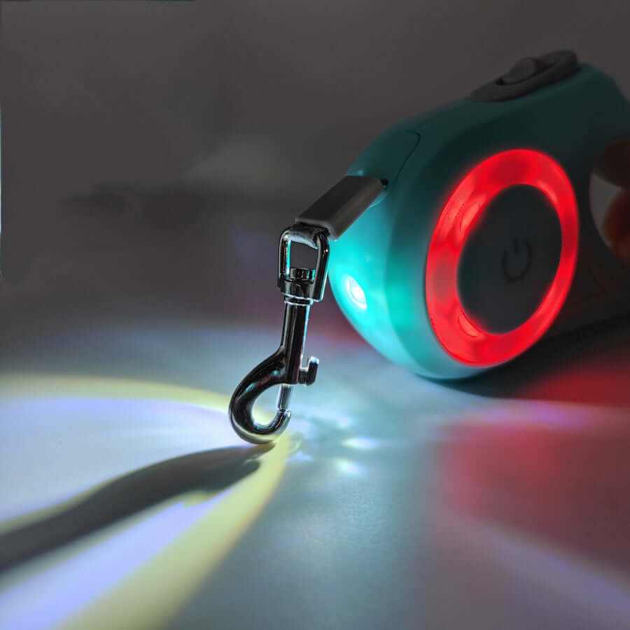 Dog walking at night with LED retractable dog leash glowing in the dark