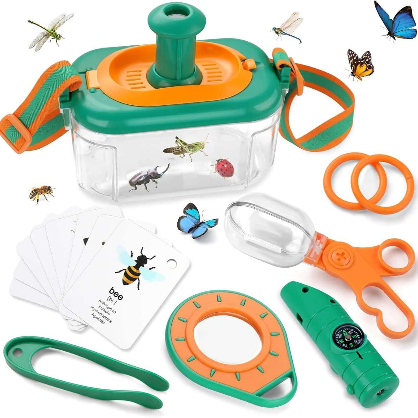 children's insect observation box