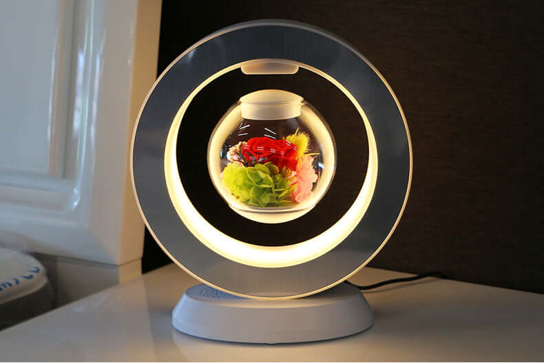 Teacher's Day magnetic levitation flower gift box