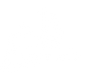 Lost Ark Shop