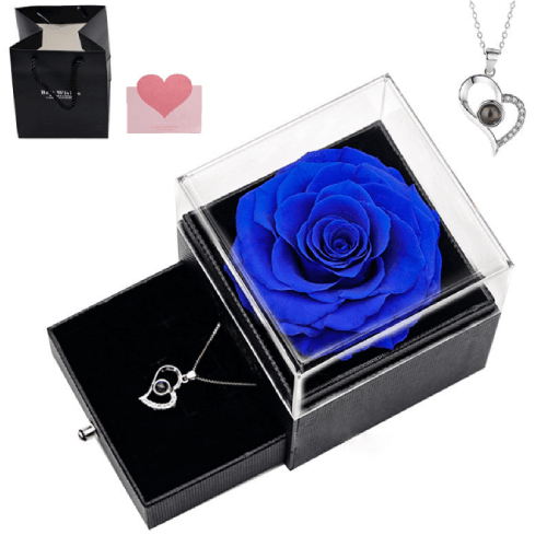 heart shaped necklace with gift box