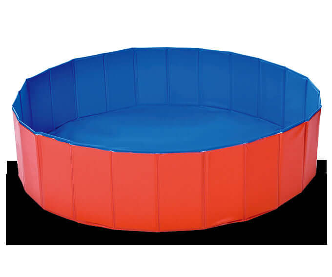 Foldable dog pool set up outdoors with a golden retriever inside