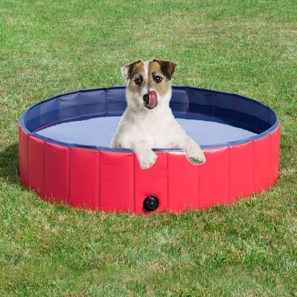 Golden retriever enjoying bath inside foldable non-slip pet pool

