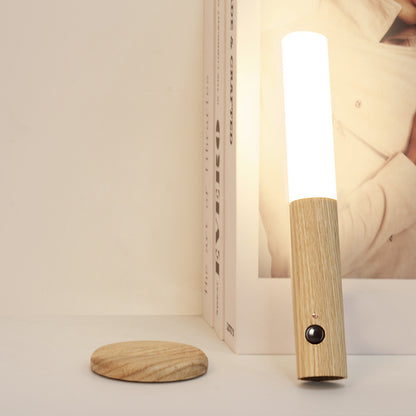 Intelligent Light Control Human Body Induction Night Light USB Charging Cabinet Light Wardrobe Light Wall Light Home Bedside LED Table Lamp