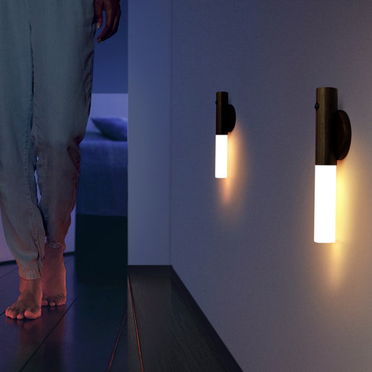 Intelligent Light Control Human Body Induction Night Light USB Charging Cabinet Light Wardrobe Light Wall Light Home Bedside LED Table Lamp