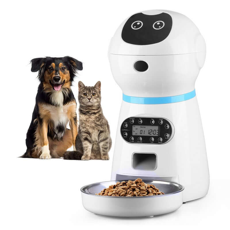 Automatic pet feeder with timer dispensing food for a cat 