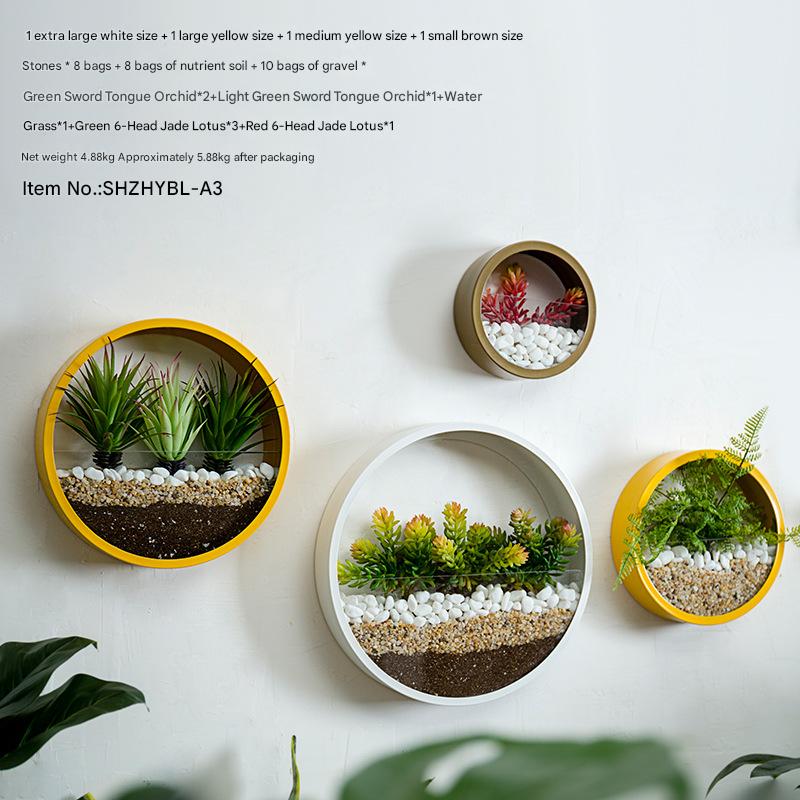 Round Iron Wall-Mounted Flower Pot for Home Decoration