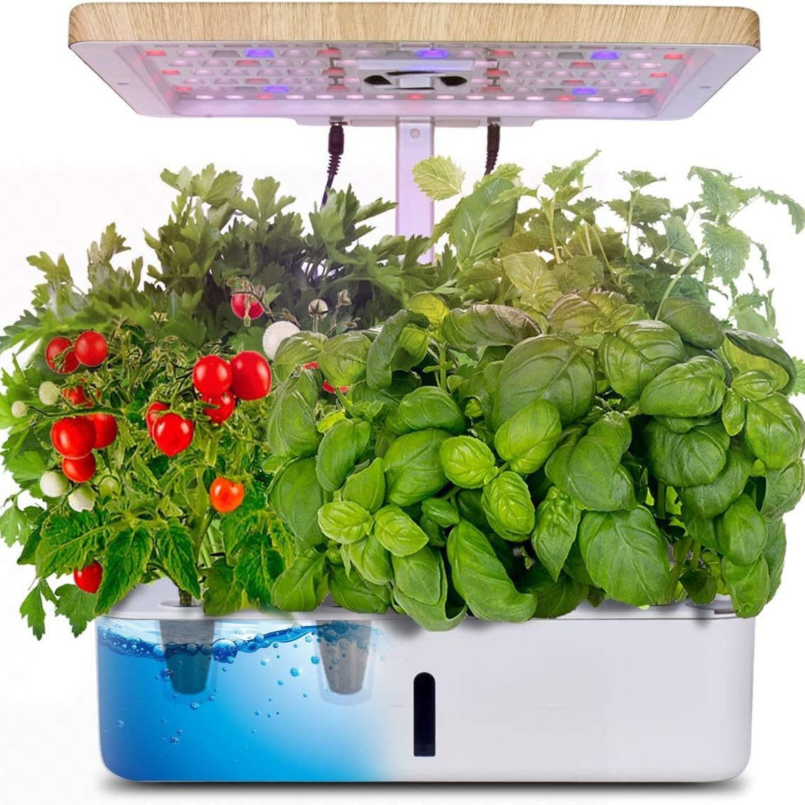 Smart Hydroponic Vegetable and Flower Planter
