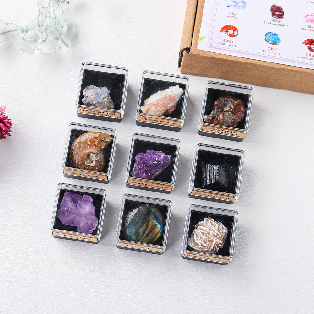 Natural crystal stone mineral specimen gift set