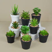 Simulated Green Bonsai Plant