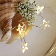 layout atmosphere landscape luminous small colored lamp