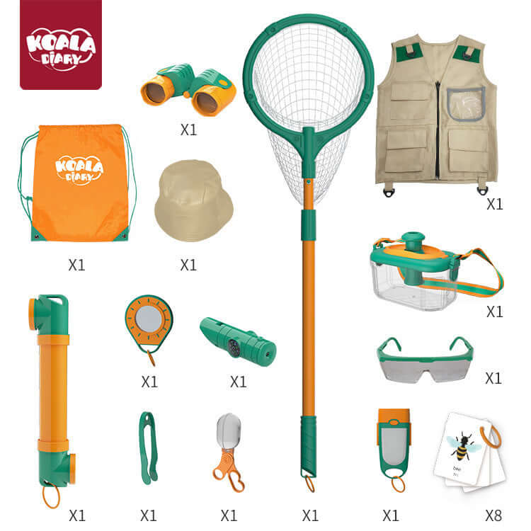 children's insect observation box