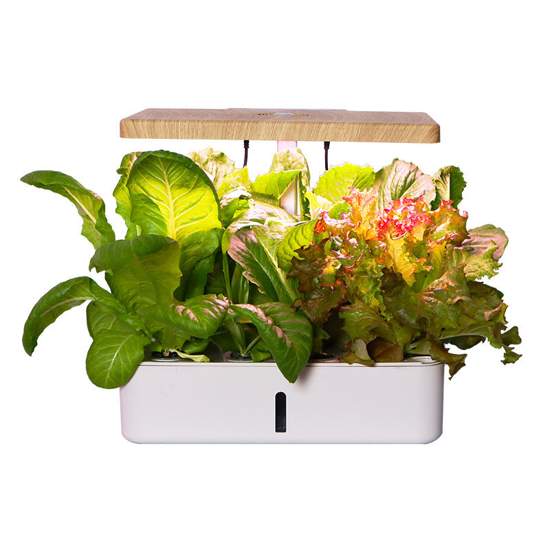 Smart Hydroponic Vegetable and Flower Planter