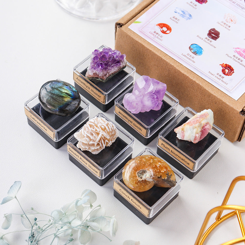 Natural crystal stone mineral specimen gift set