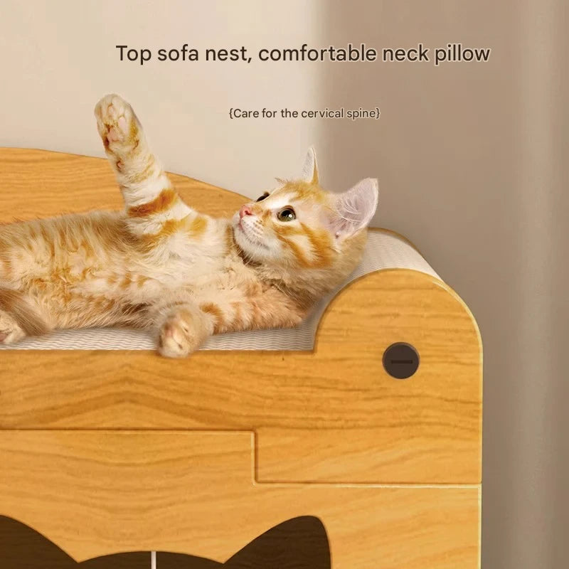 Multi-Surface Scratching Pad