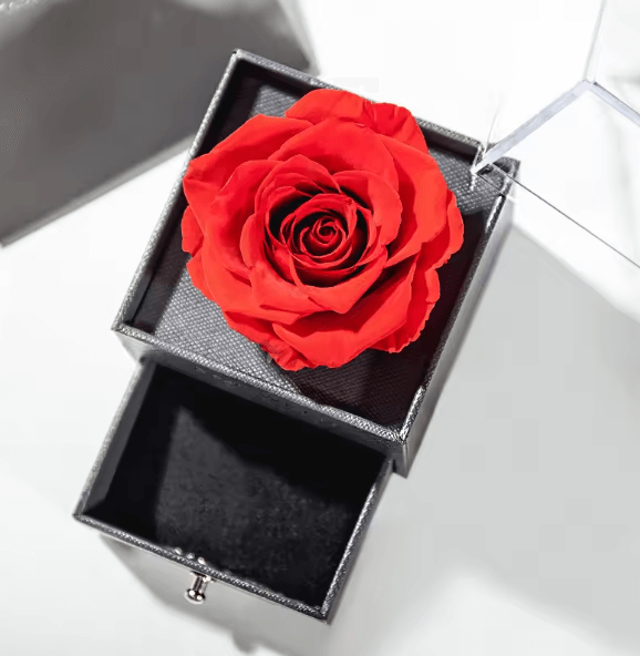 heart shaped necklace with gift box